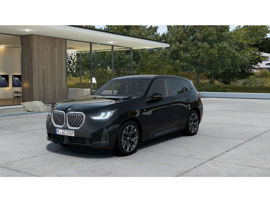 BMW X3 (Bild 1/6)