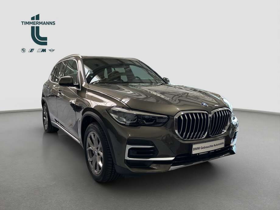 BMW X5 (Bild 13/15)