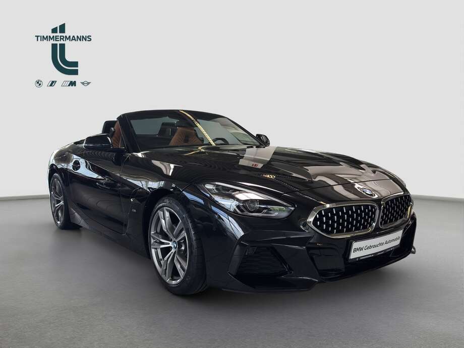 BMW Z4 (Bild 11/15)