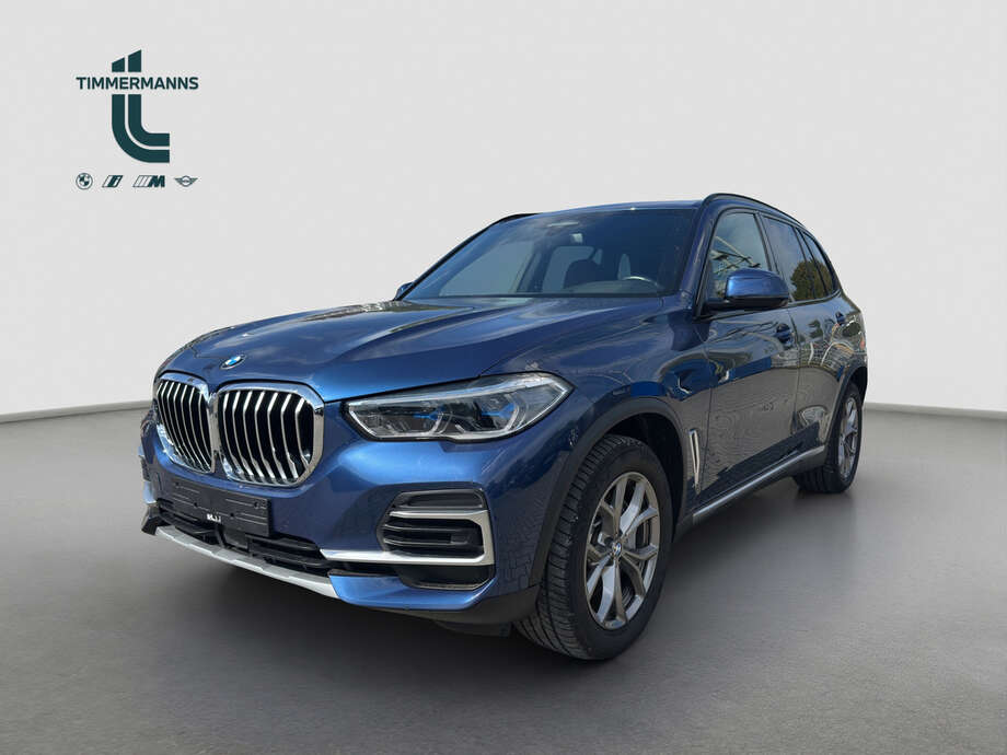 BMW X5 (Bild 1/18)