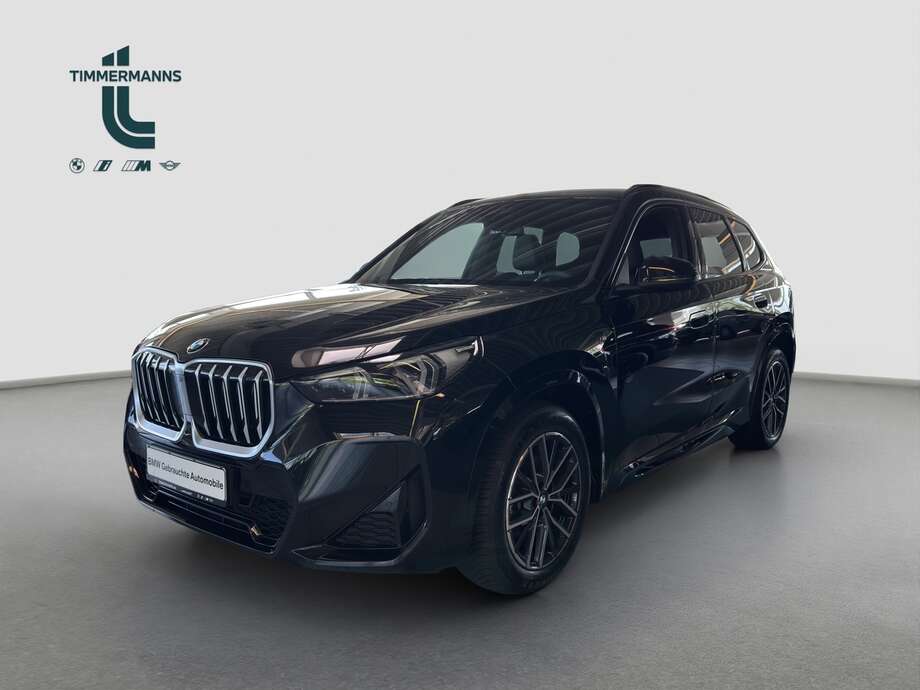 BMW X1 (Bild 1/2)