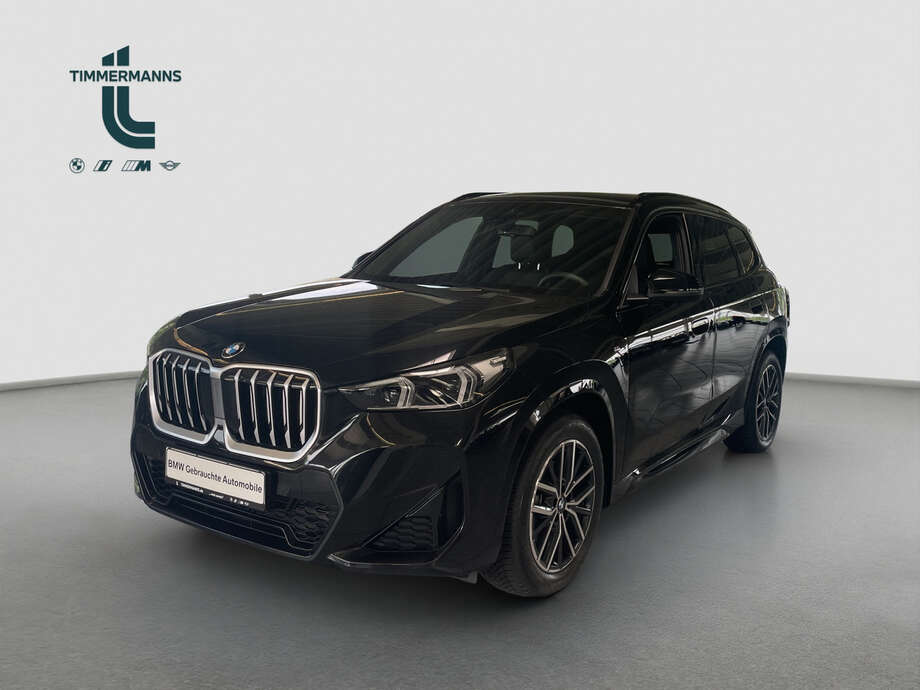 BMW X1 (Bild 1/2)