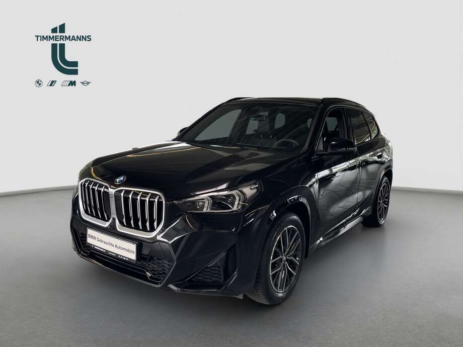 BMW X1 (Bild 1/2)