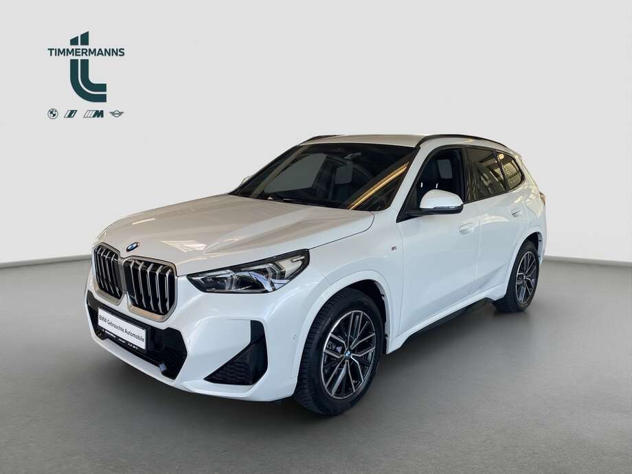 BMW X1 (Bild 1/2)