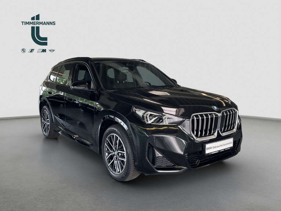 BMW X1 (Bild 12/17)