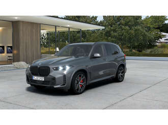 BMW X5 (Bild 1/5)