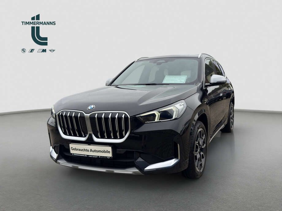 BMW X1 (Bild 1/16)