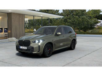 BMW X5 (Bild 1/5)