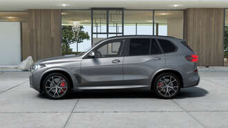 BMW X5 (Bild 2/5)