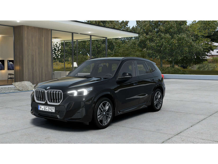 BMW X1 (Bild 1/5)