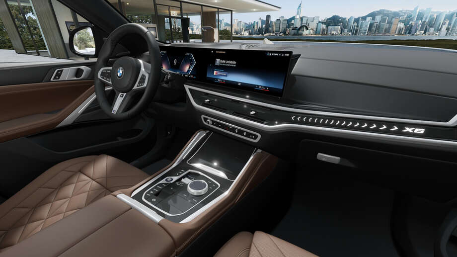 BMW X6 (Bild 6/6)