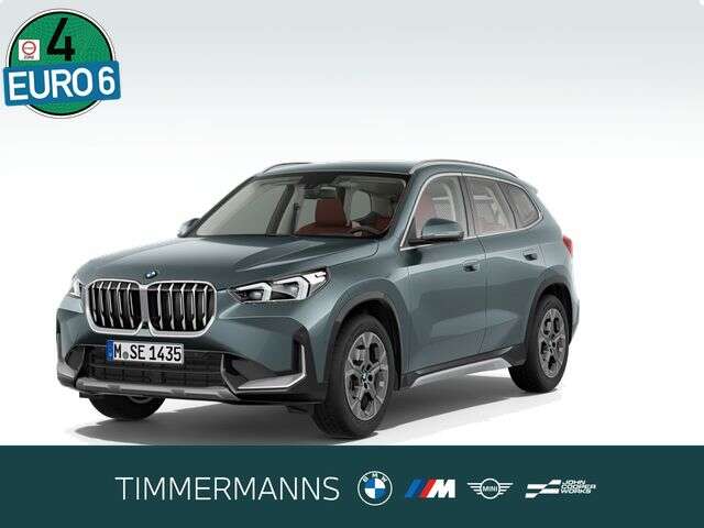 BMW X1 (Bild 1/5)