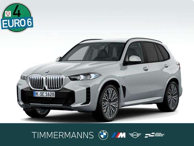 BMW X5 (Bild 1/5)