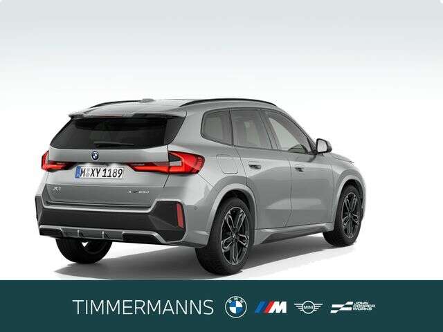 BMW X1 (Bild 2/5)