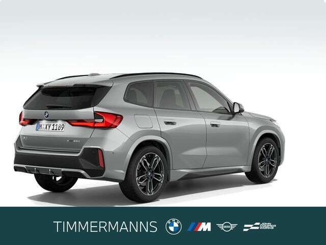 BMW X1 (Bild 5/5)