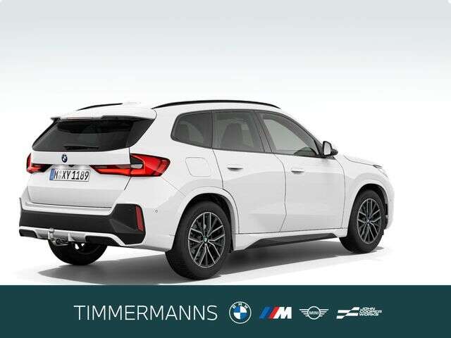 BMW X1 (Bild 5/5)