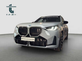 BMW X3 (Bild 1/15)