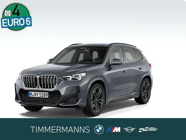 BMW X1 (Bild 1/5)
