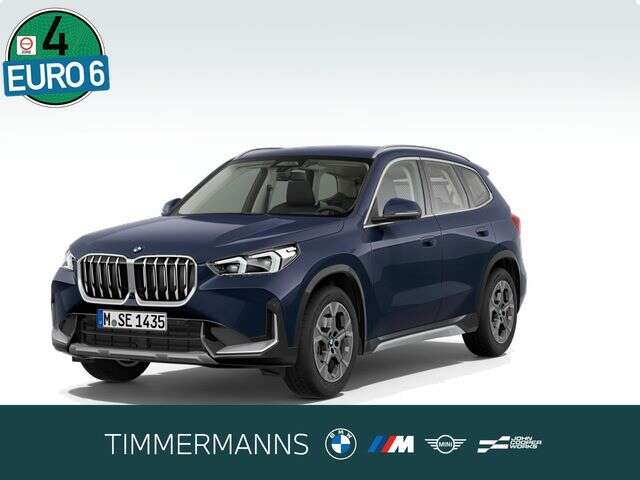 BMW X1 (Bild 1/5)