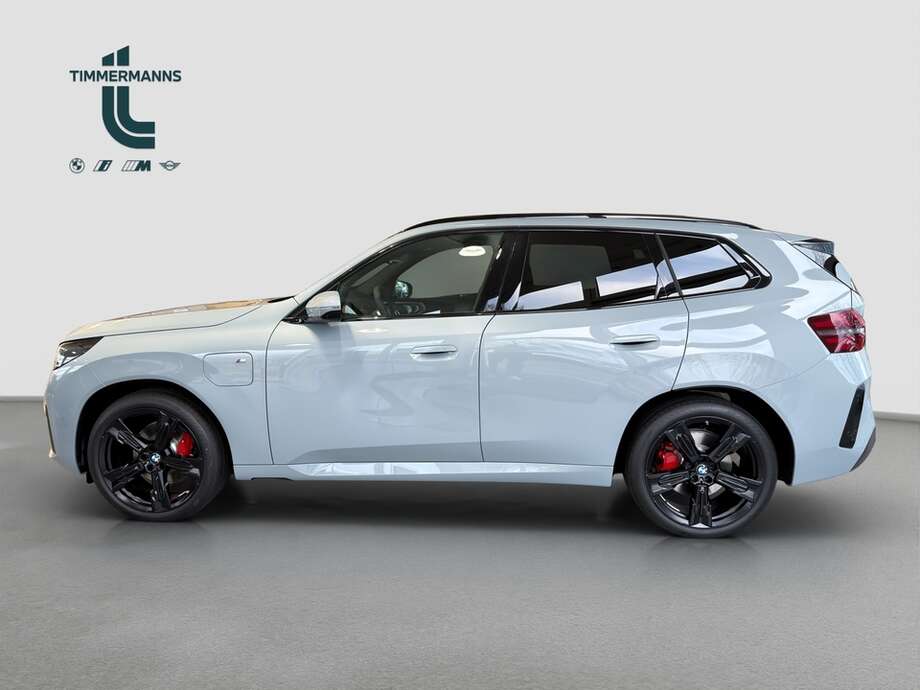 BMW X3 (Bild 2/11)
