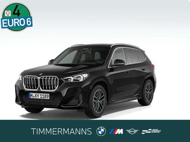 BMW X1 (Bild 1/5)