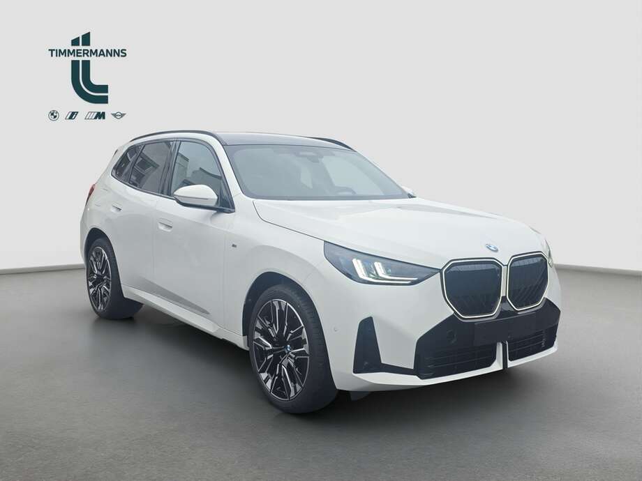 BMW X3 (Bild 7/17)
