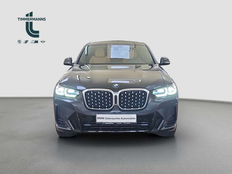 BMW X4 (Bild 8/18)
