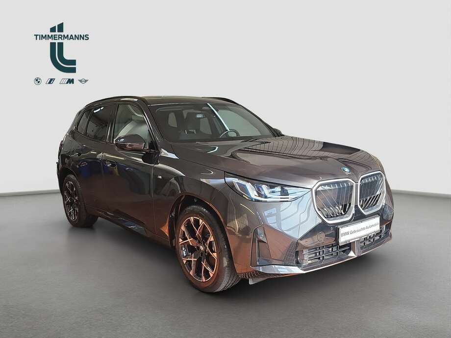 BMW X3 (Bild 7/15)