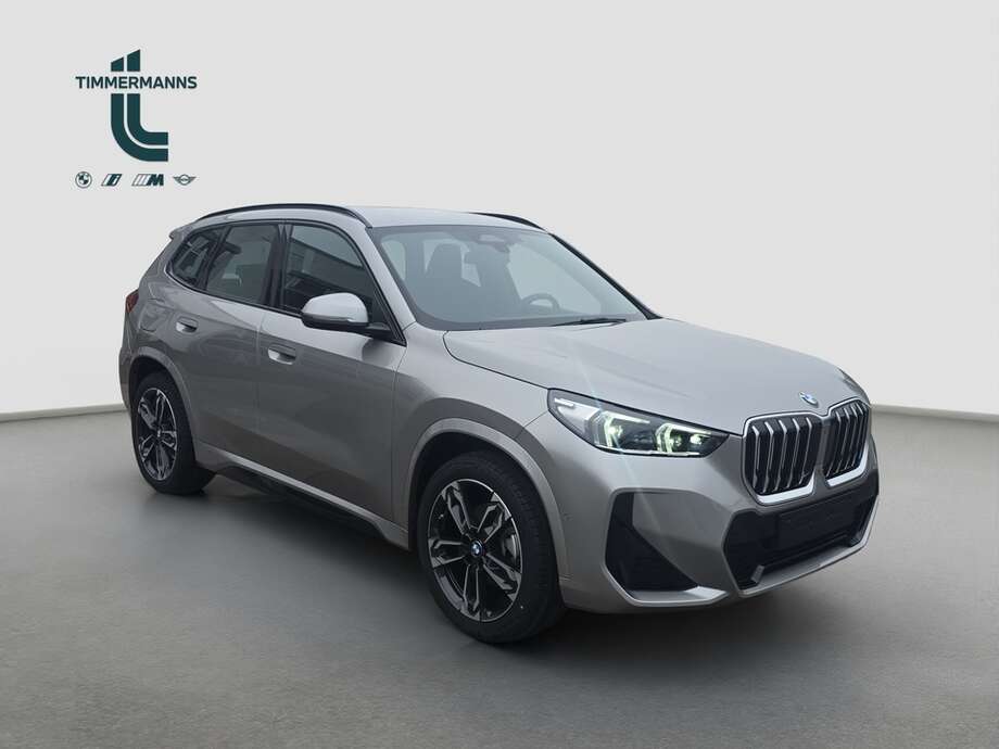 BMW X1 (Bild 7/16)