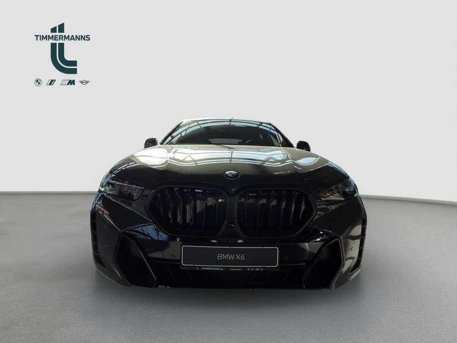 BMW X6 (Bild 8/15)
