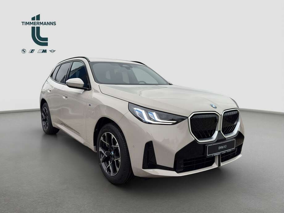 BMW X3 (Bild 7/18)