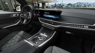 BMW X5 (Bild 1/1)