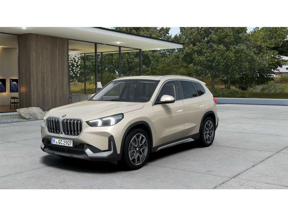 BMW X1 (Bild 1/5)