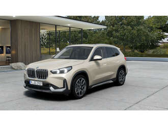 BMW X1 (Bild 1/5)