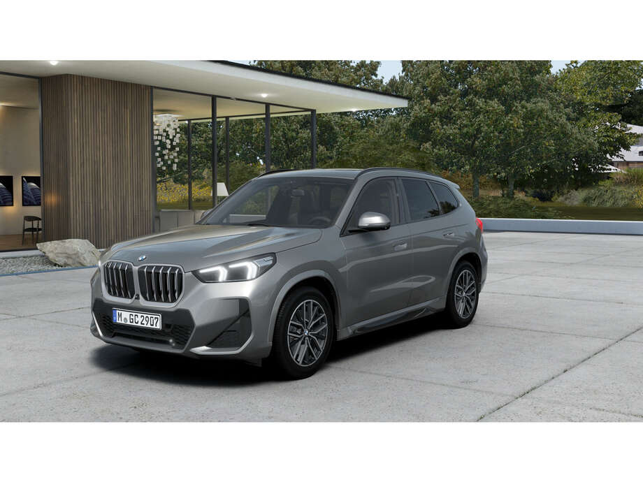 BMW X1 (Bild 1/14)