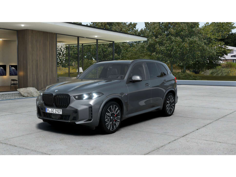 BMW X5 (Bild 1/5)