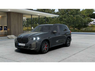 BMW X5 (Bild 1/5)