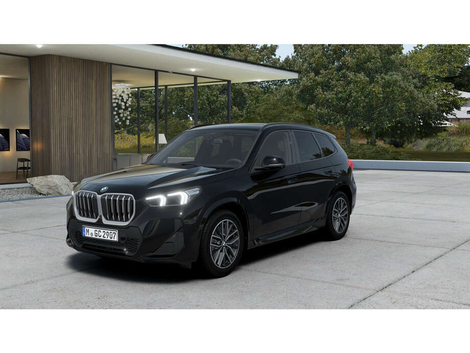BMW X1 (Bild 1/18)