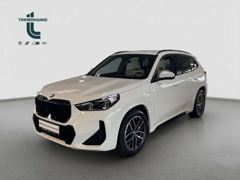 BMW X1 (Bild 1/15)