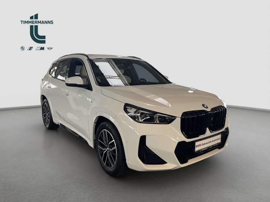 BMW X1 (Bild 7/15)