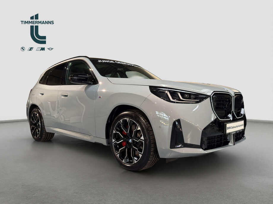BMW X3 (Bild 7/15)