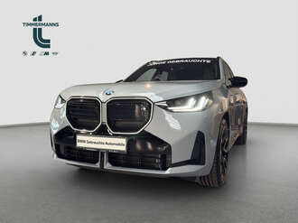 BMW X3 (Bild 1/15)