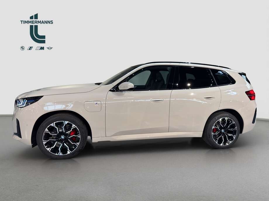 BMW X3 (Bild 2/16)
