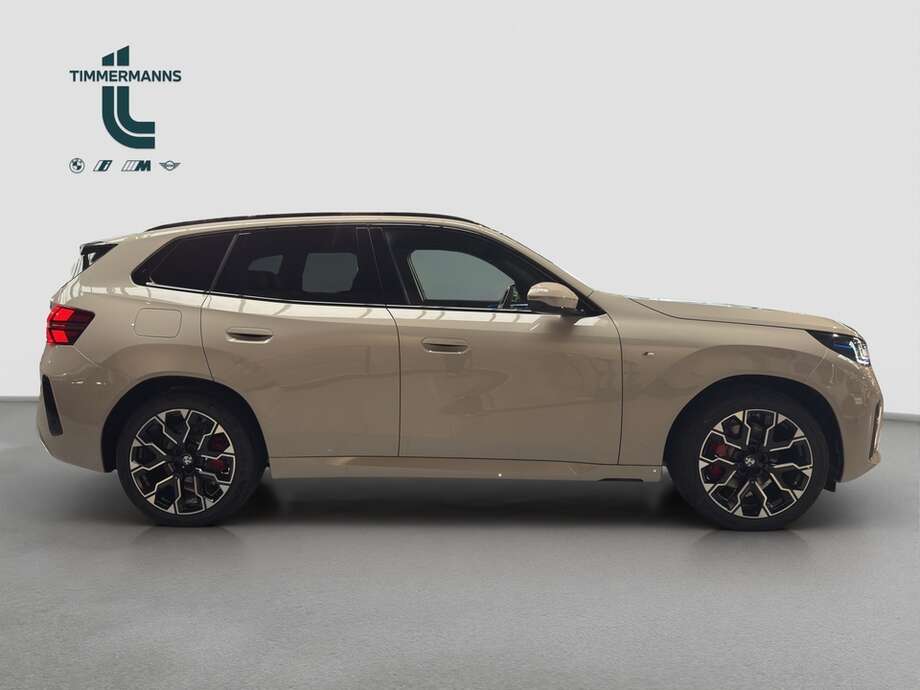 BMW X3 (Bild 6/16)
