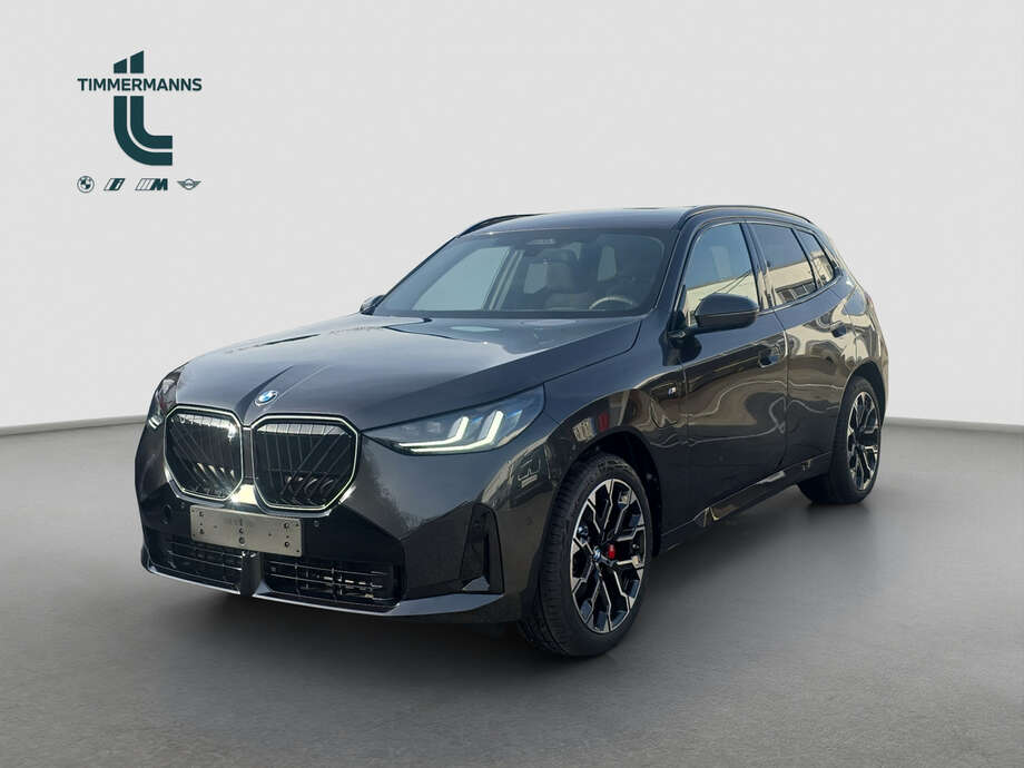 BMW X3 (Bild 1/17)