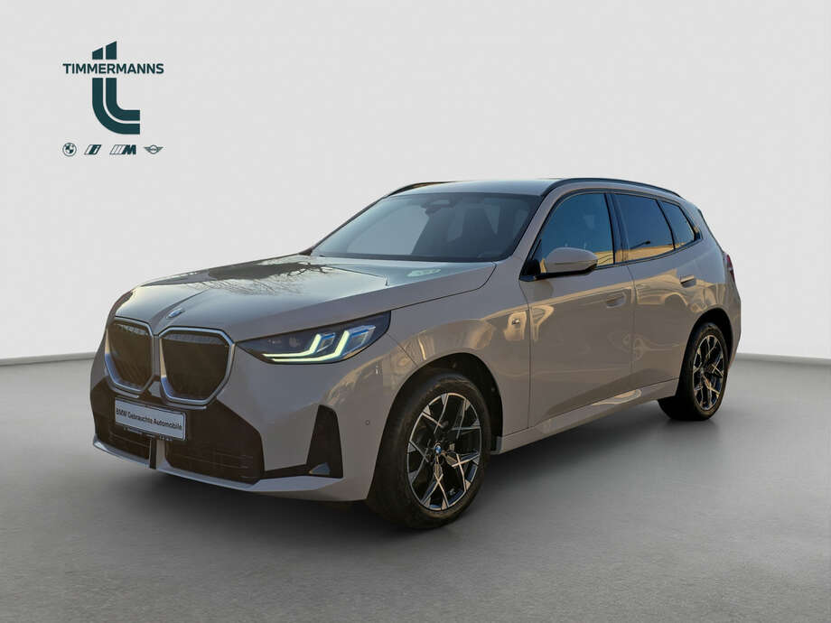 BMW X3 (Bild 1/17)