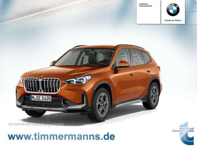 BMW X1 (Bild 1/6)