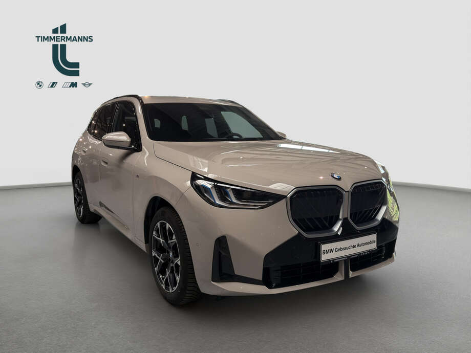 BMW X3 (Bild 7/17)