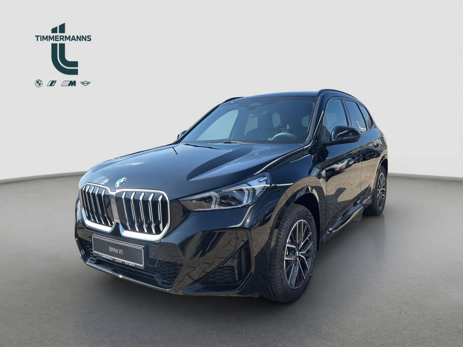BMW X1 (Bild 12/18)