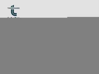 BMW X3 (Bild 2/18)